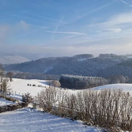 Fewo-Eifel-Morsbach Schleiden Exterior photo